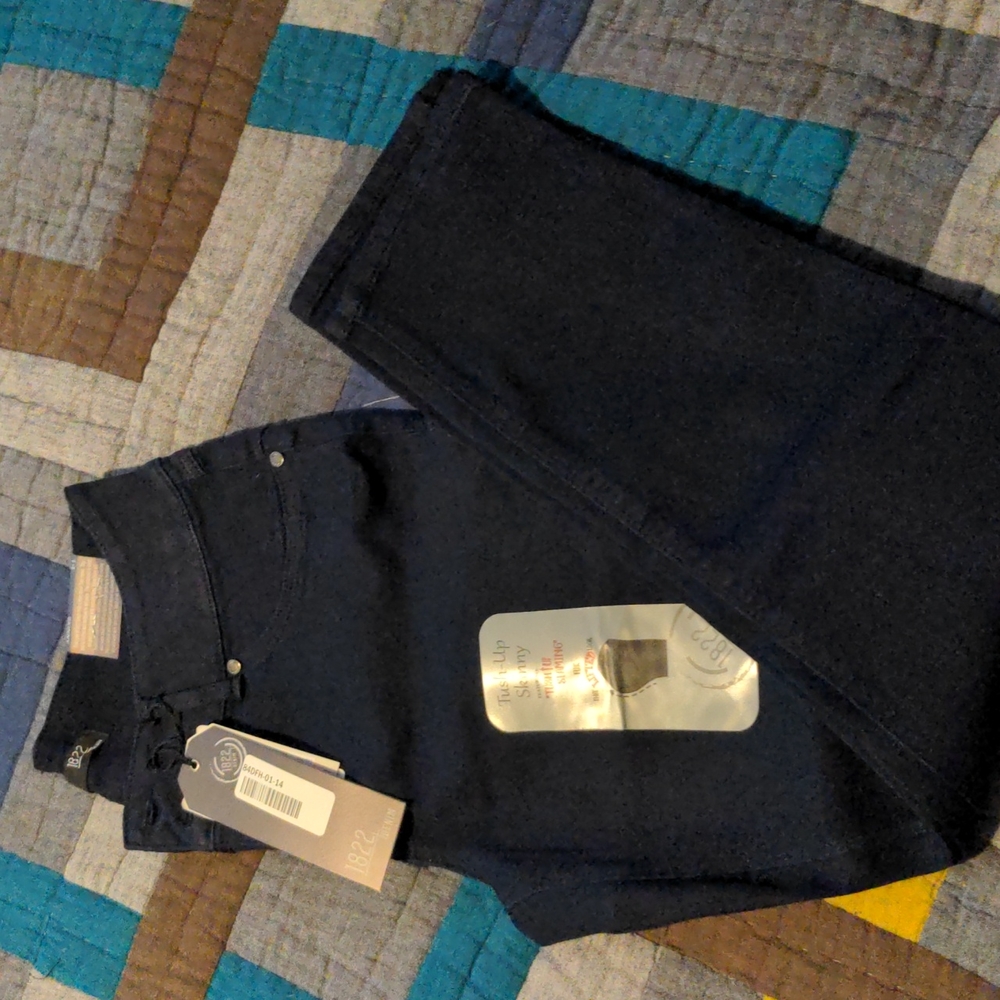 NWT 1822 dark wash skinny jeans